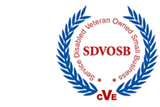 Service Disabled Veteran Owned Small Business
